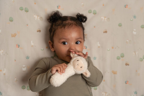 Squeaker pecora Little Farm